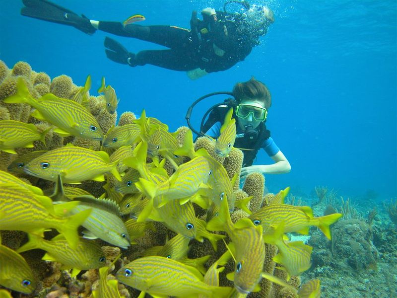 Guam Island KG6DX CQ WW DX SSB Contest 2009 DX News